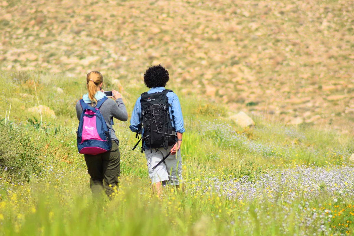 Springtime Splendor: Exploring Jordan's Must-Visit Destinations